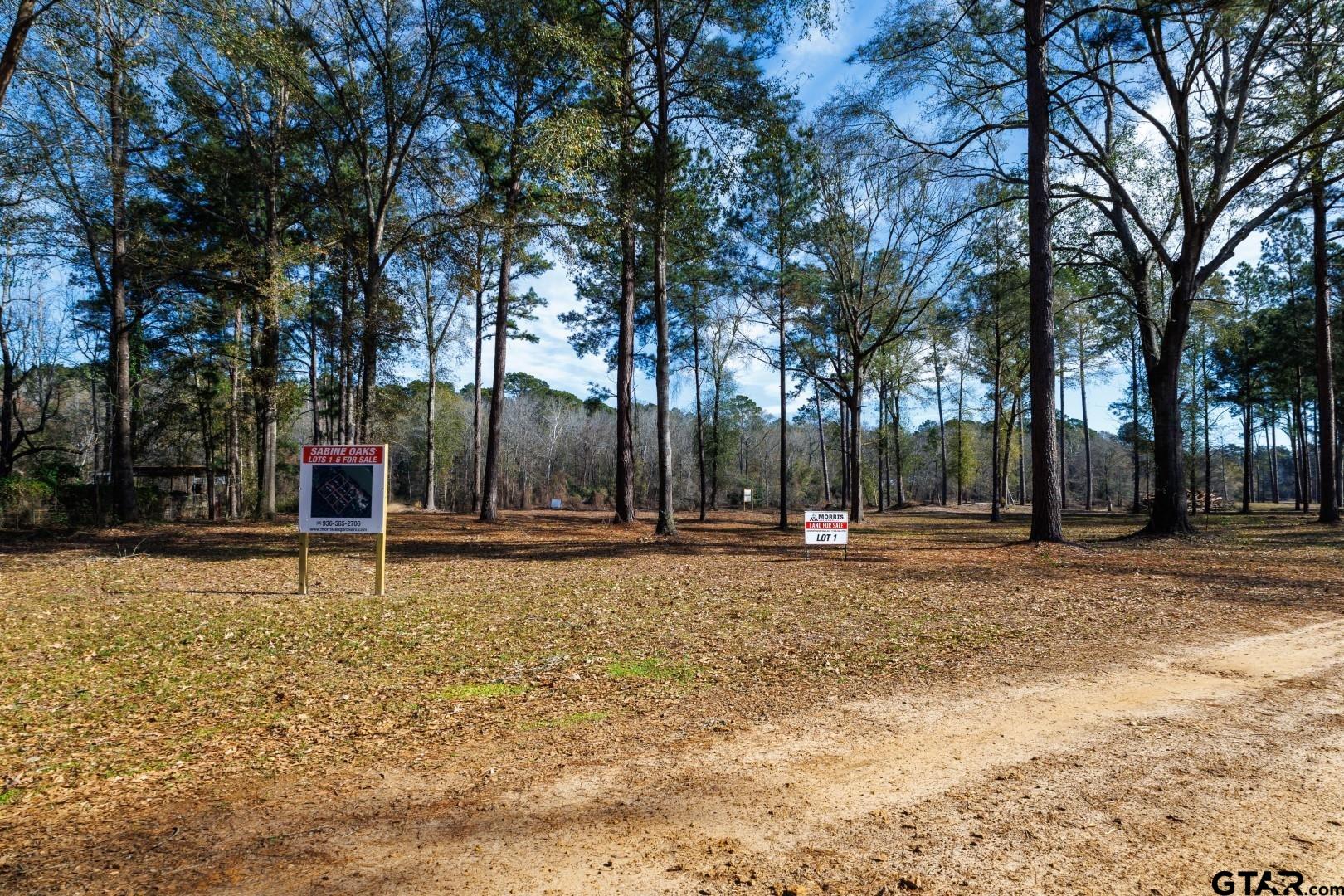 Property Image 19