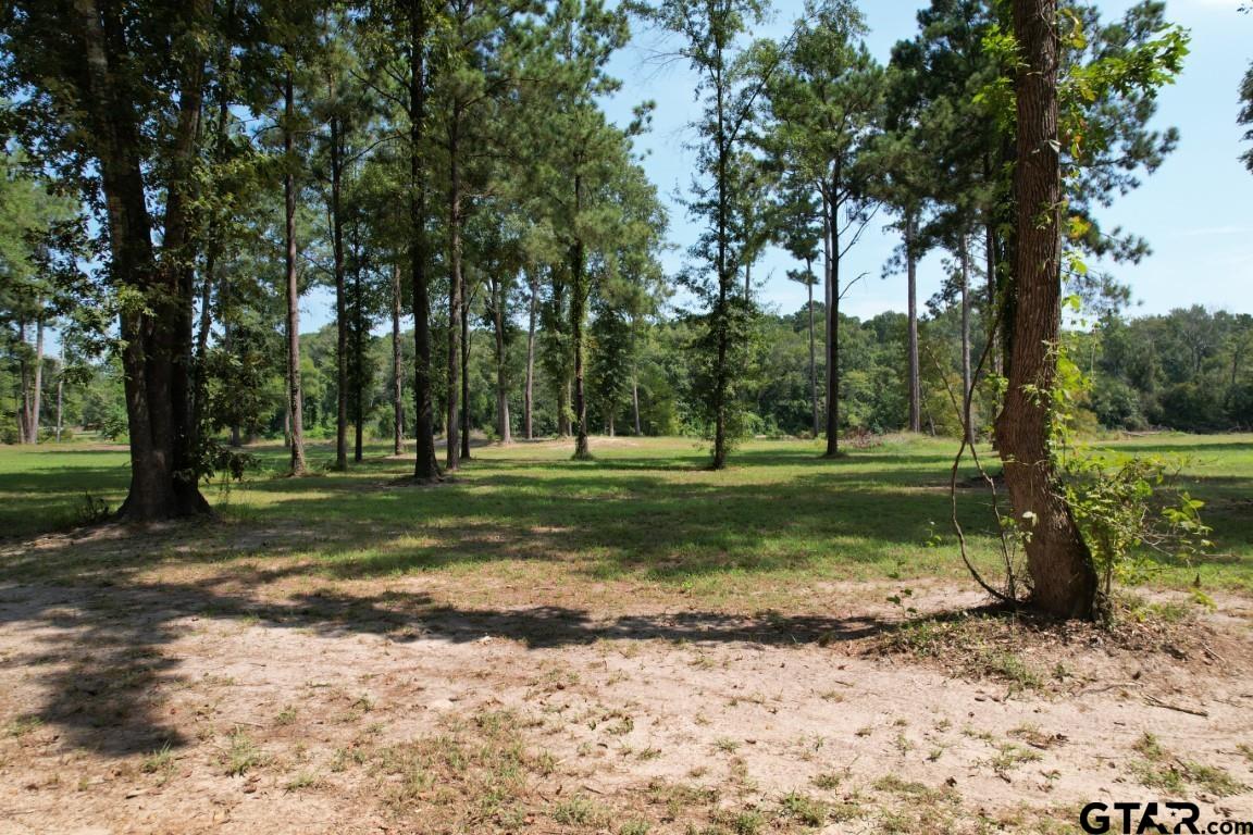 TBD (Lot 1) County Road 3545, Joaquin, Texas image 7