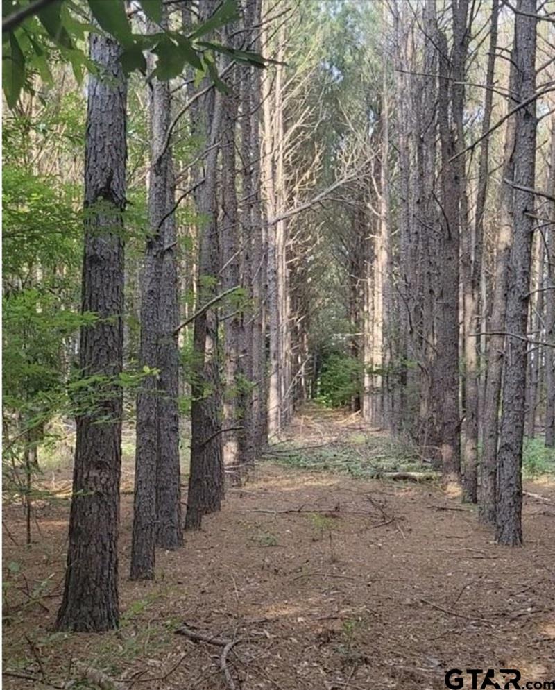 10469 County Road 3518, Murchison, Texas image 33