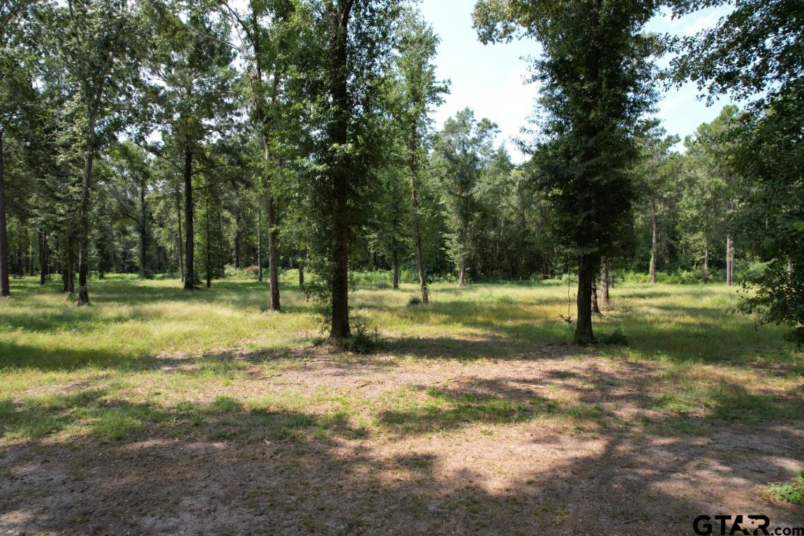 TBD (Lot 2) County Road 3545, Joaquin, Texas image 12