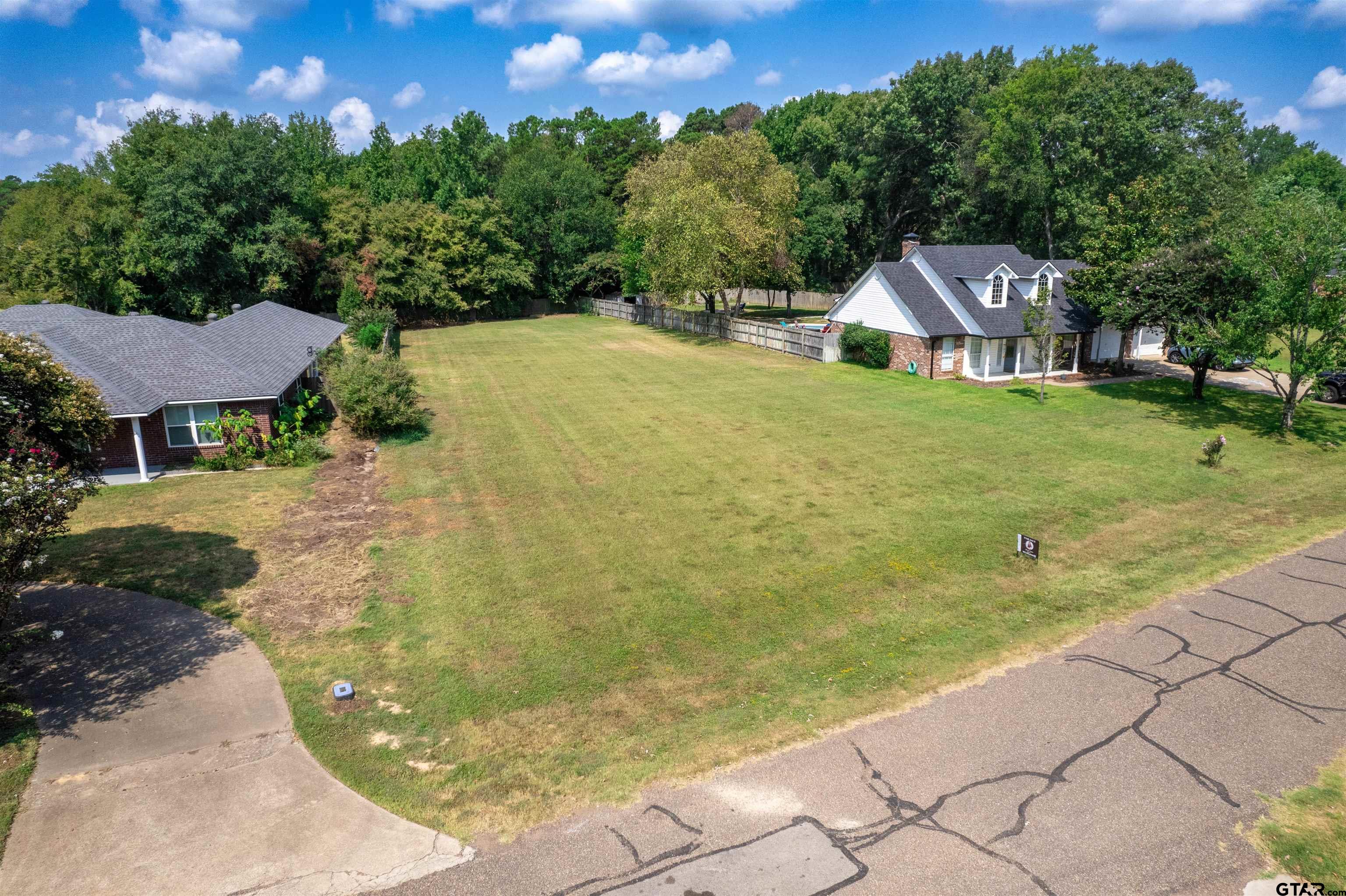 TBD Diamond Bay Dr., Frankston, Texas image 3