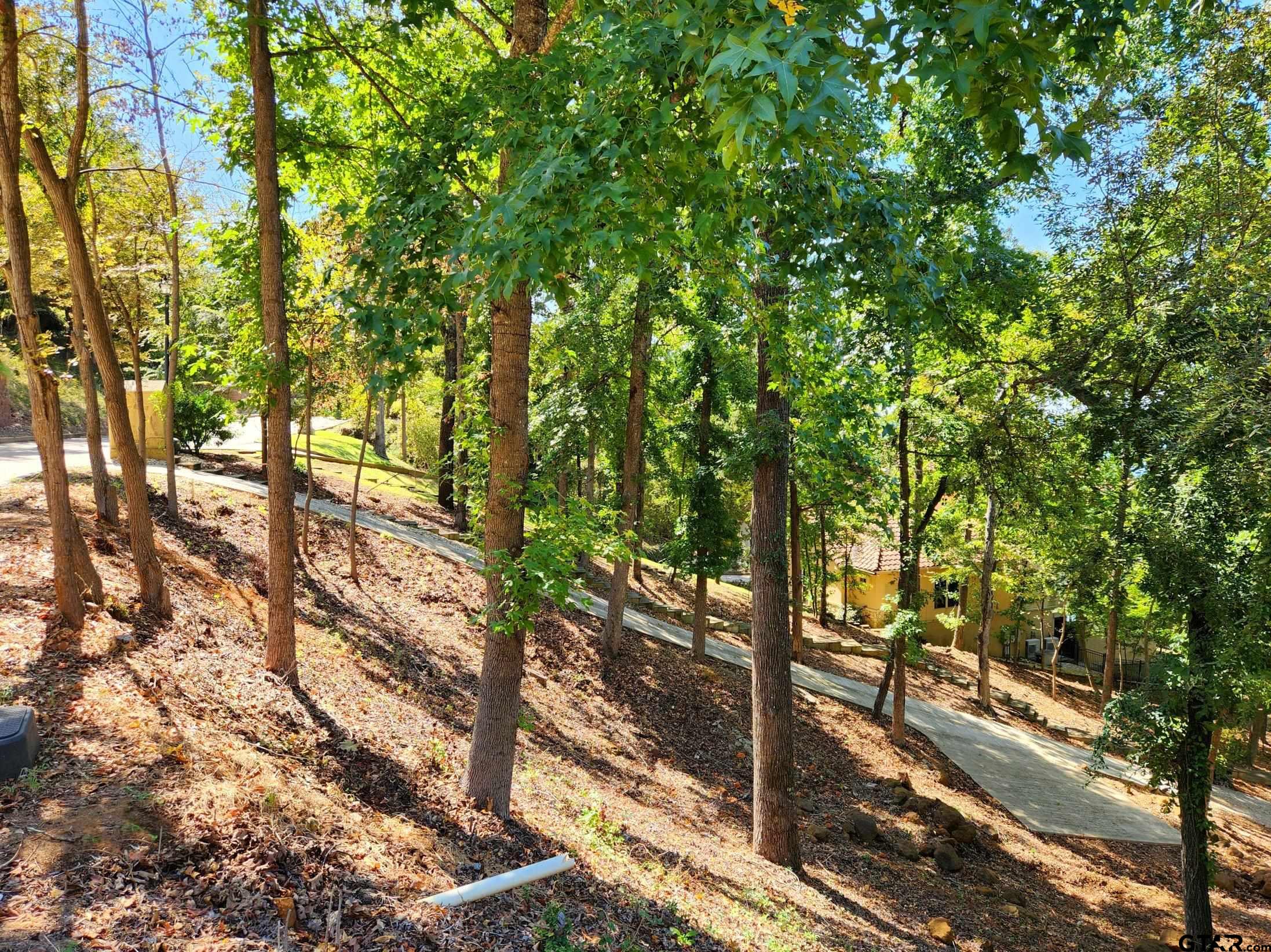 173 N Lake Bluff Dr., Bullard, Texas image 8