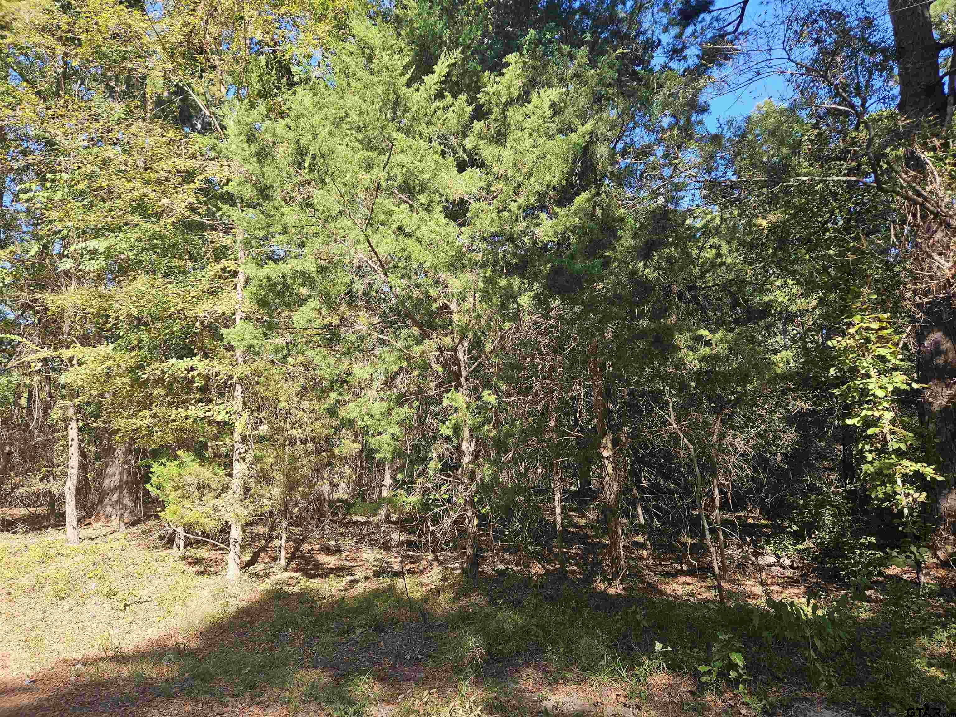 152 Timber Bluff, Bullard, Texas image 1