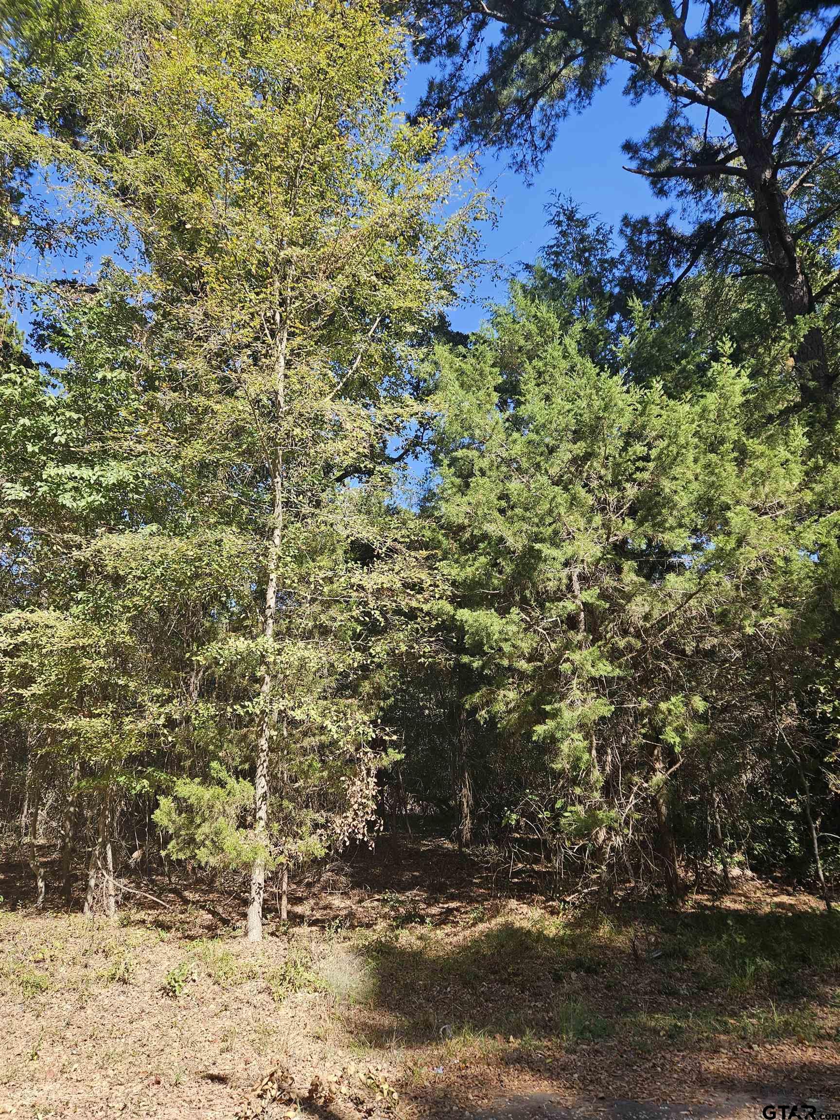 152 Timber Bluff, Bullard, Texas image 4