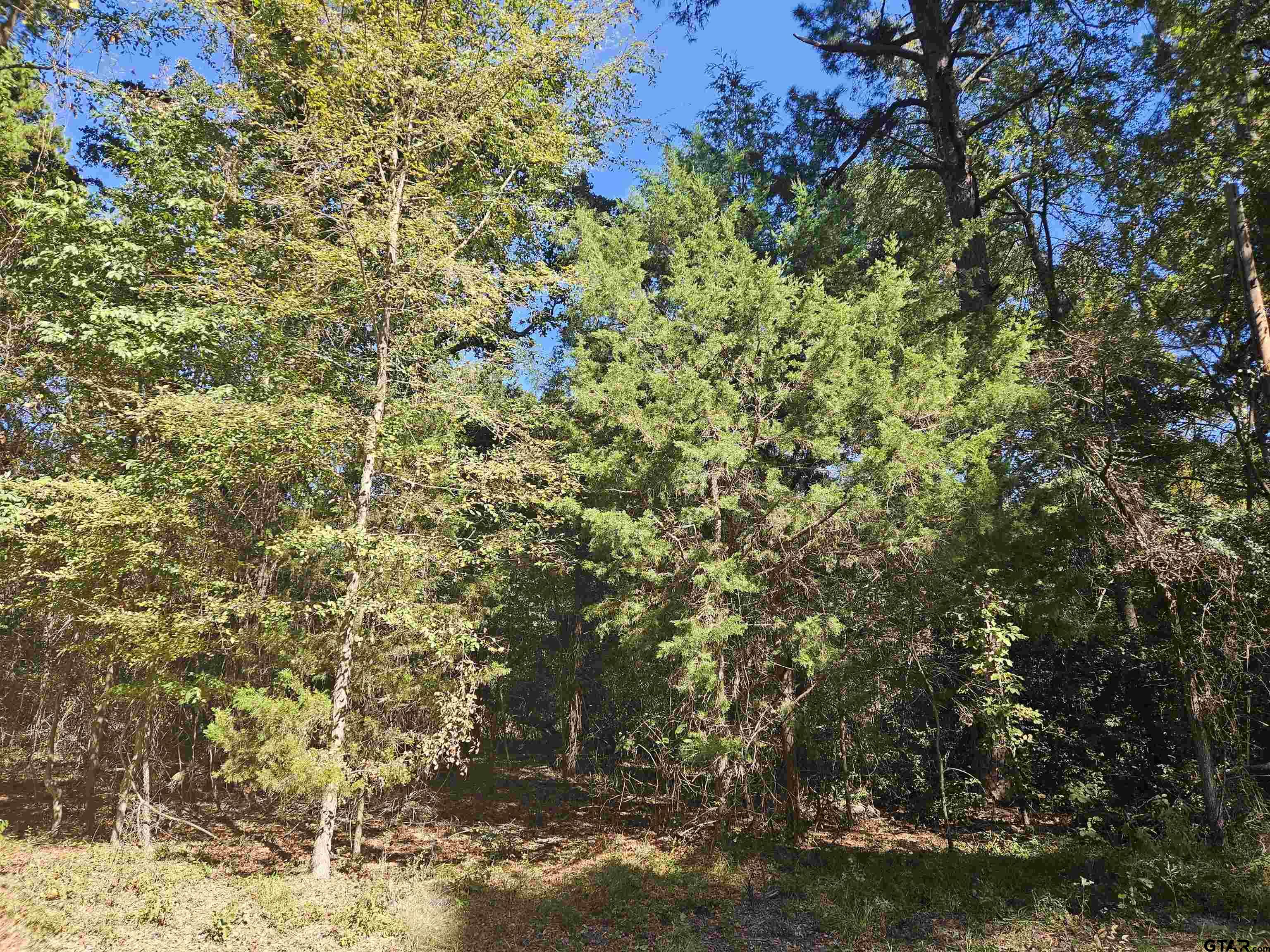 152 Timber Bluff, Bullard, Texas image 5
