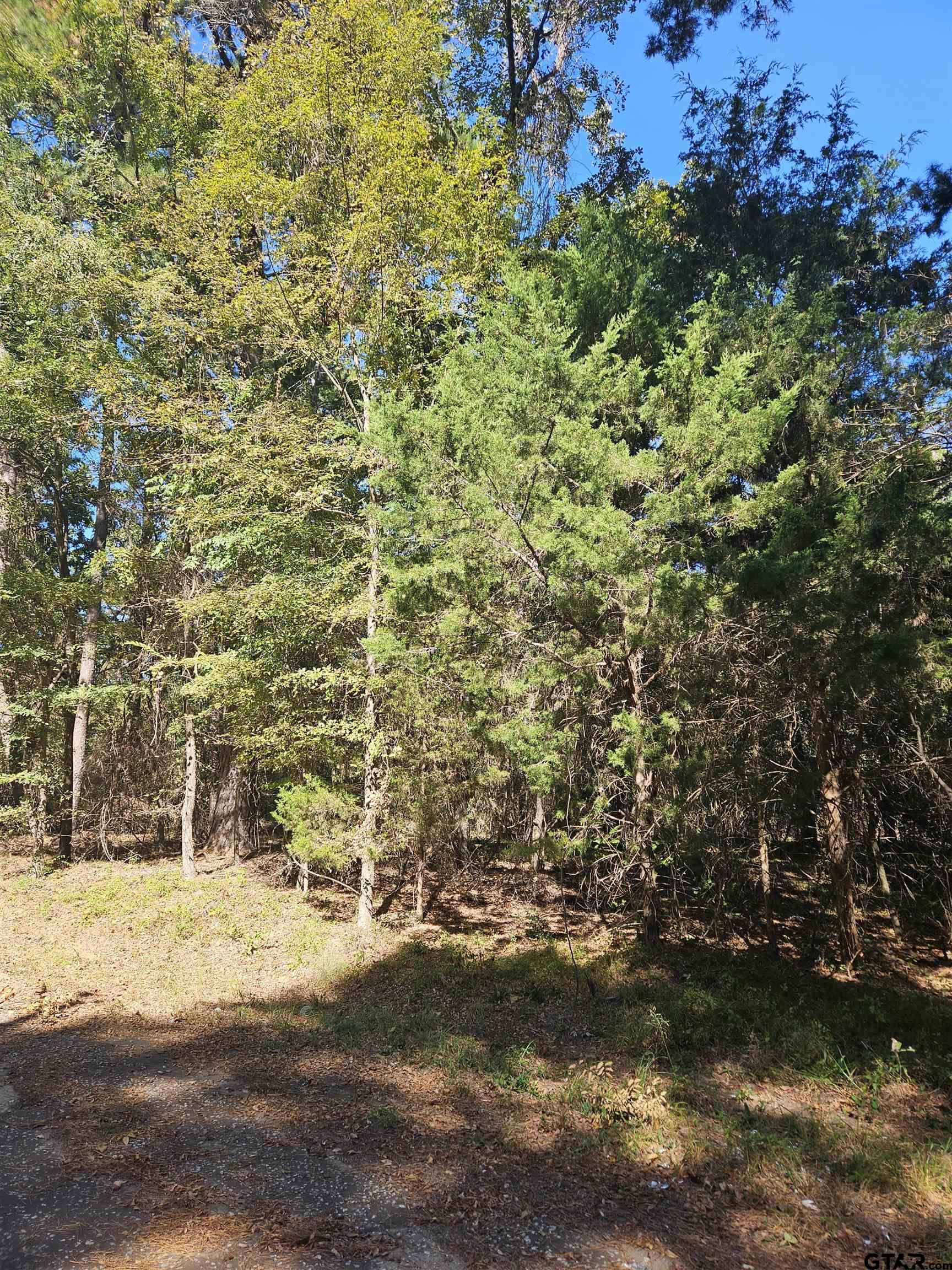 152 Timber Bluff, Bullard, Texas image 6