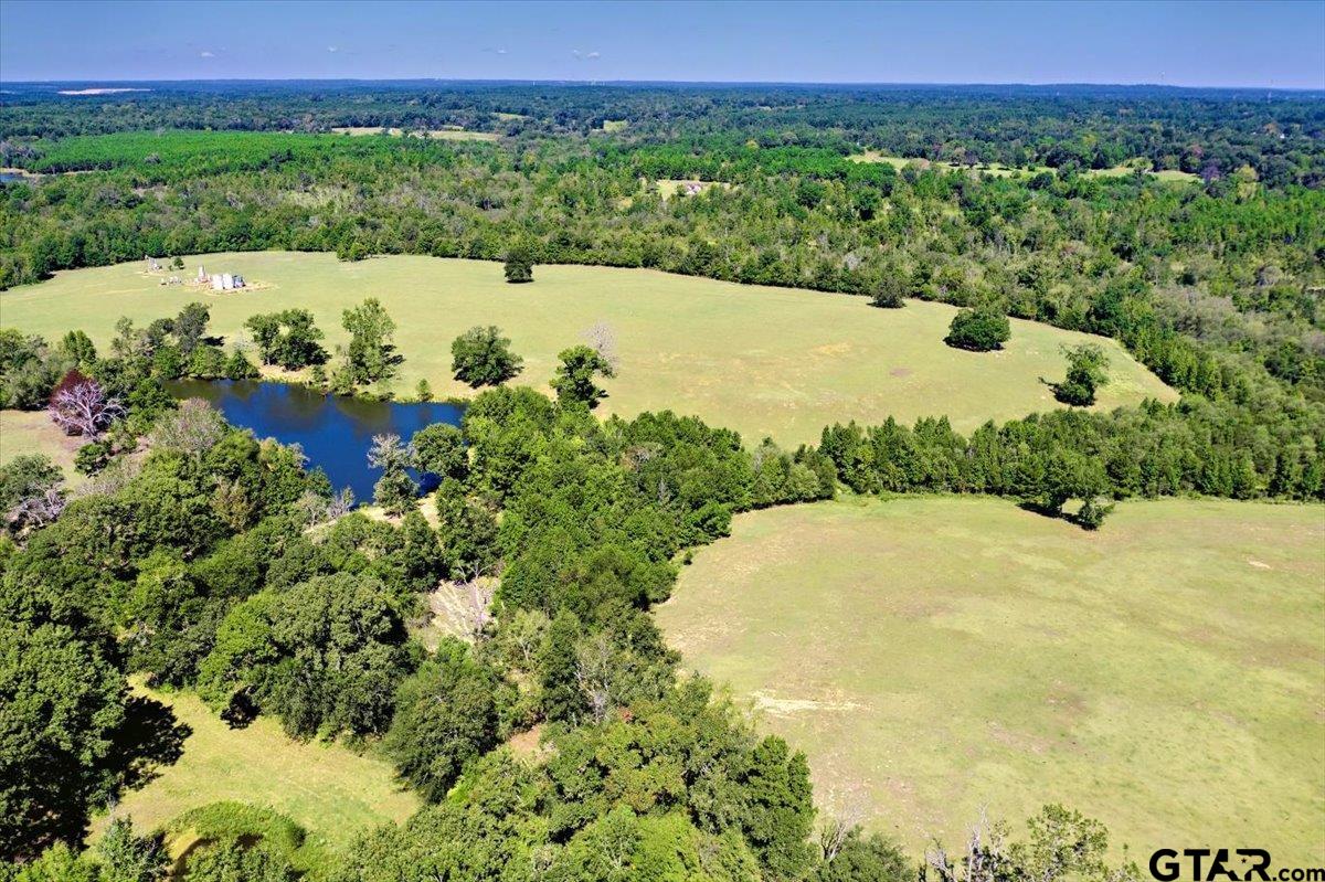 17981 E Fm 850, Arp, Texas image 30