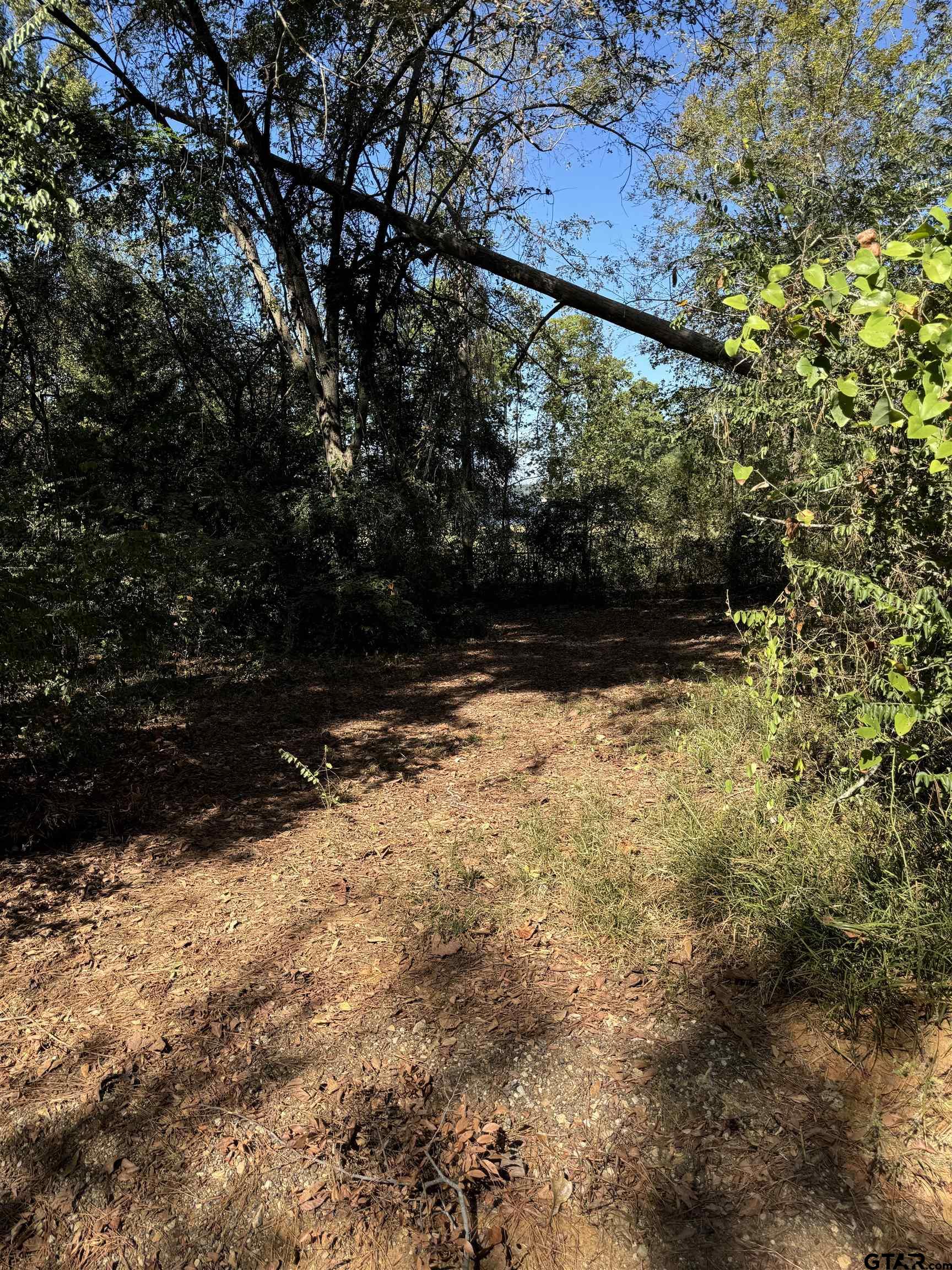 TBD Fm 2661, Flint, Texas image 1