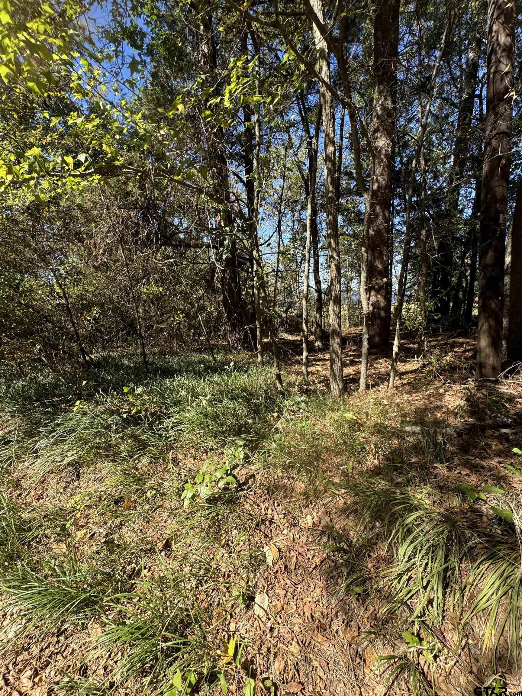 TBD Fm 2661, Flint, Texas image 3