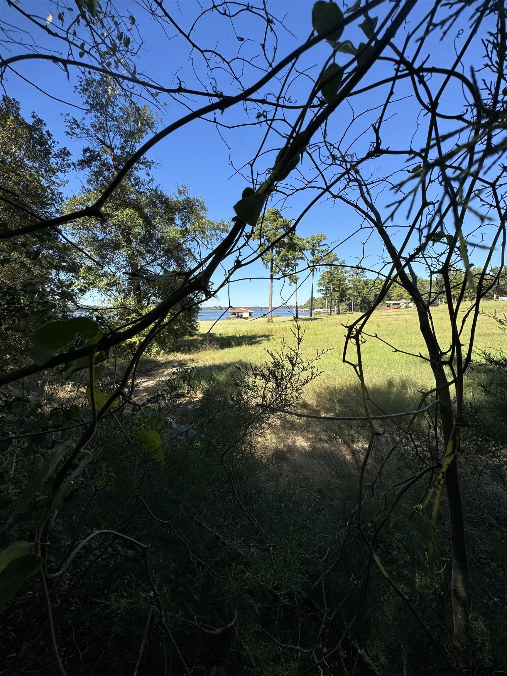 TBD Fm 2661, Flint, Texas image 6