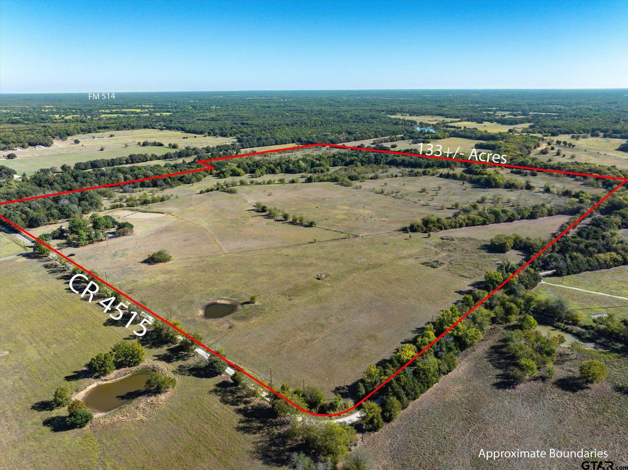 100 Rs County Road 4515, Point, Texas image 1