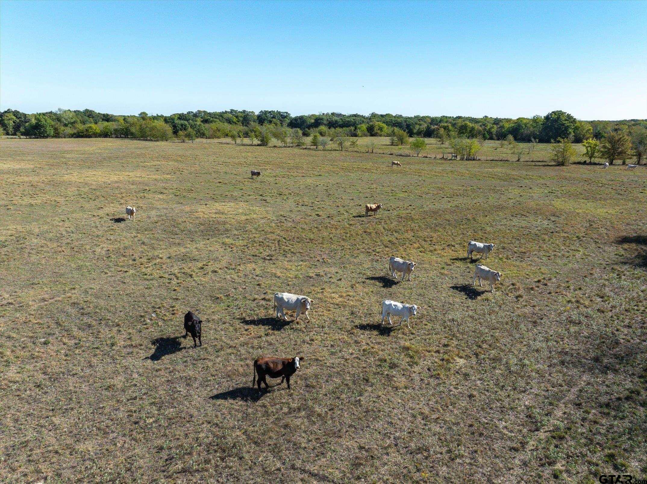 100 Rs County Road 4515, Point, Texas image 35