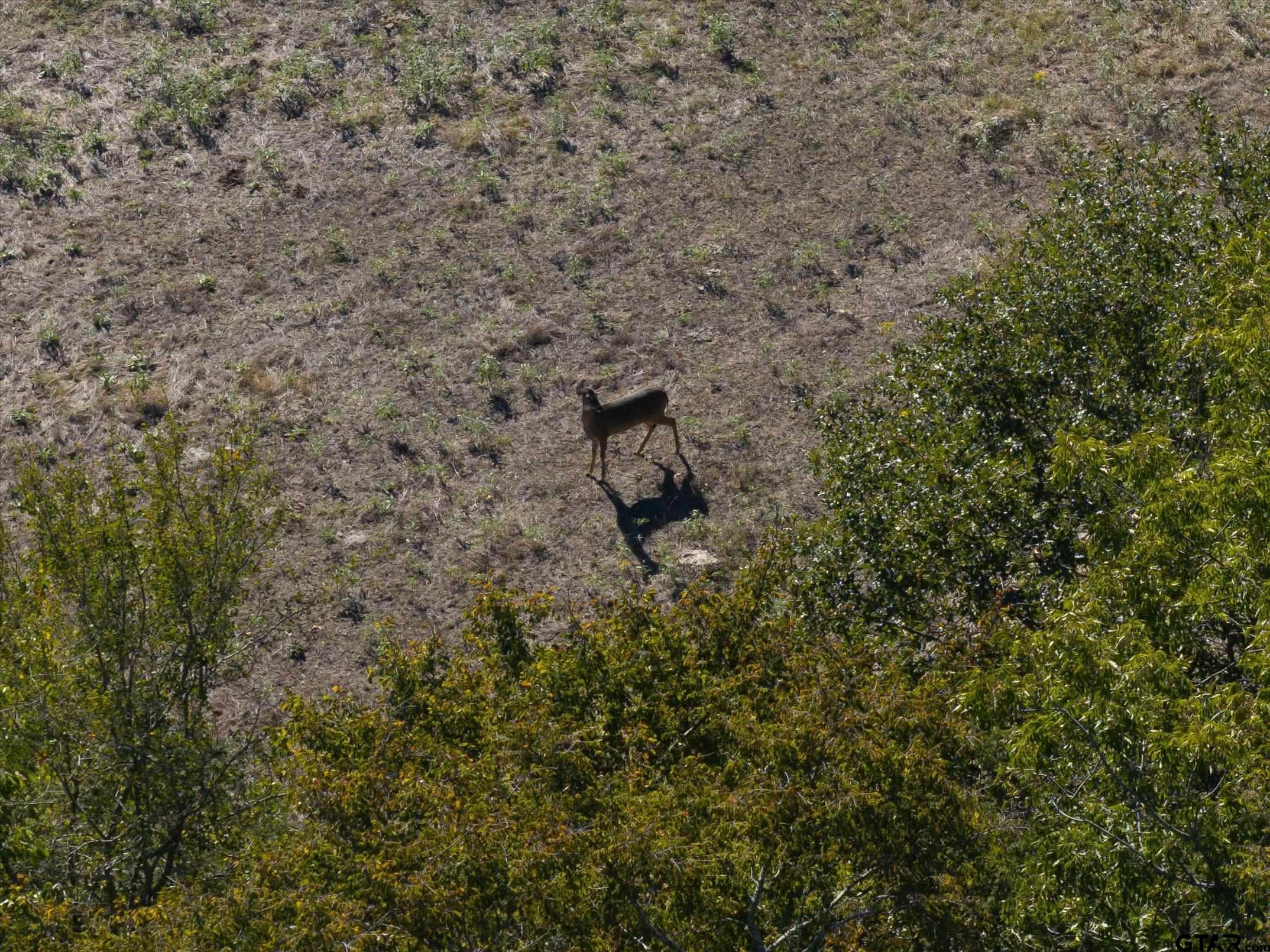 100 Rs County Road 4515, Point, Texas image 37