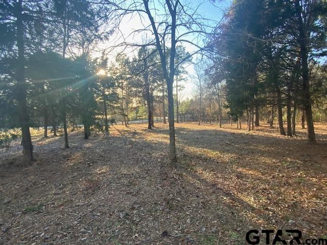 5310 Grand View Drive, Athens, Texas image 11