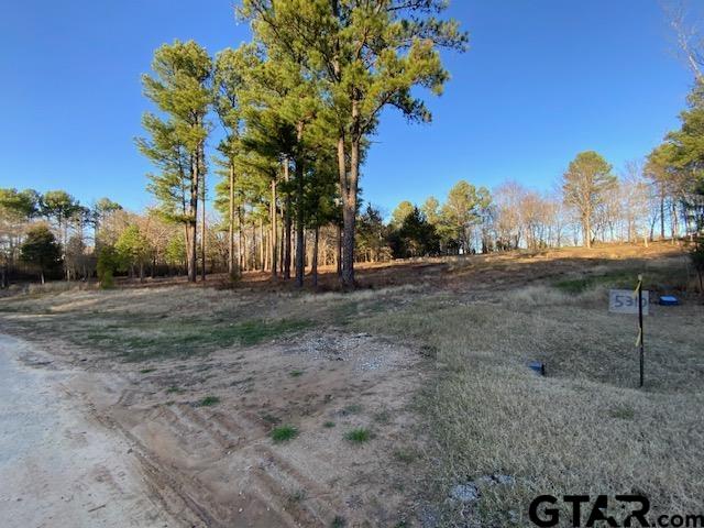 5310 Grand View Drive, Athens, Texas image 13