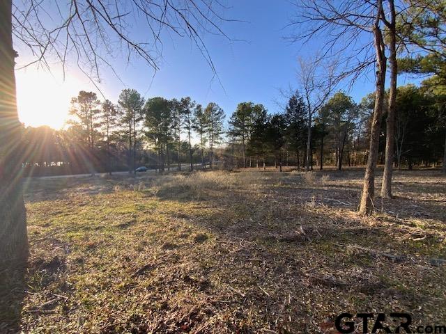 5310 Grand View Drive, Athens, Texas image 6