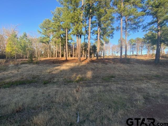 5310 Grand View Drive, Athens, Texas image 7