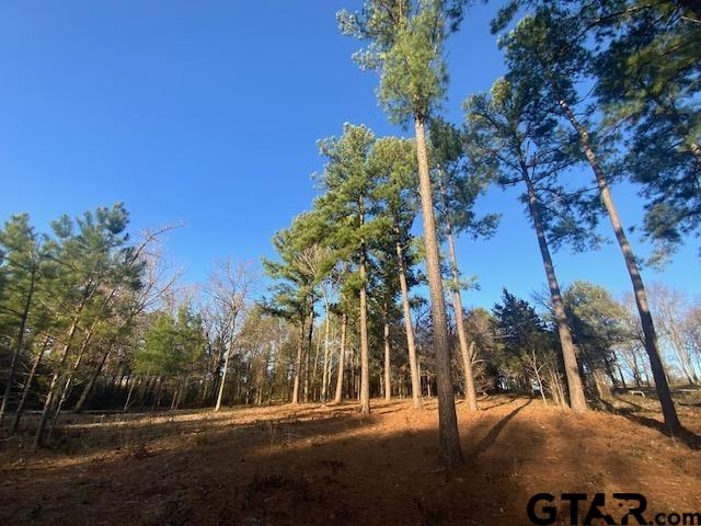 5310 Grand View Drive, Athens, Texas image 8