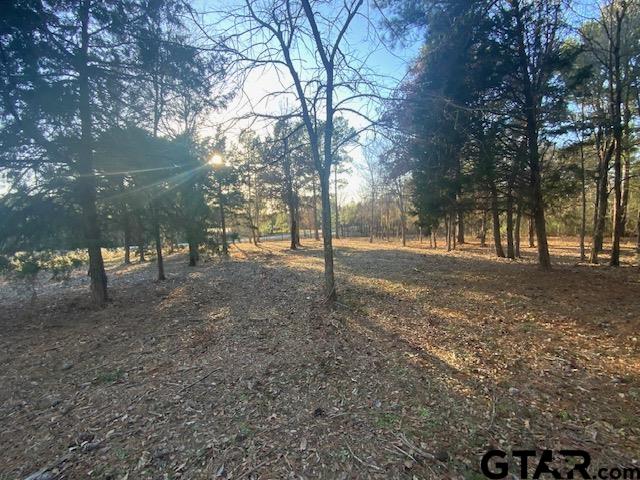 5310 Grand View Drive, Athens, Texas image 10