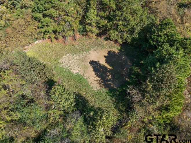 4255 Cr 2525, Alto, Texas image 13
