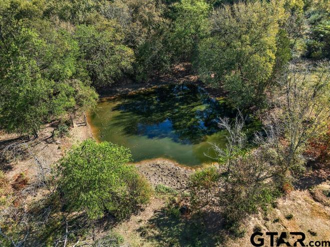 4255 Cr 2525, Alto, Texas image 4
