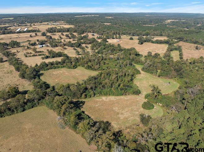 4255 Cr 2525, Alto, Texas image 9