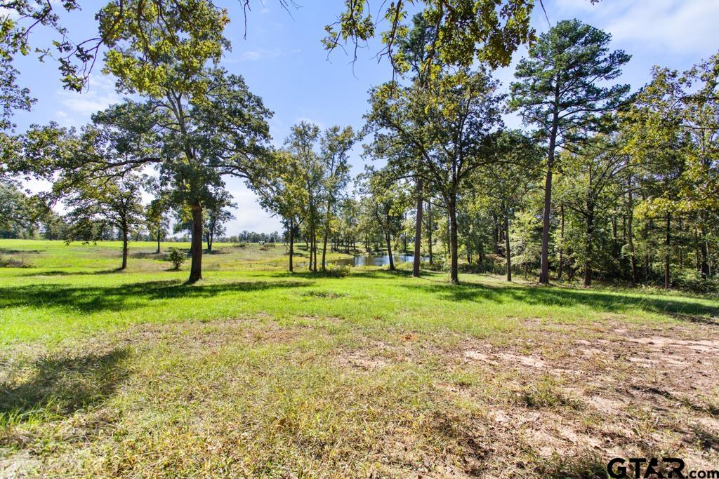 834 Cr 2918, Mineola, Texas image 6