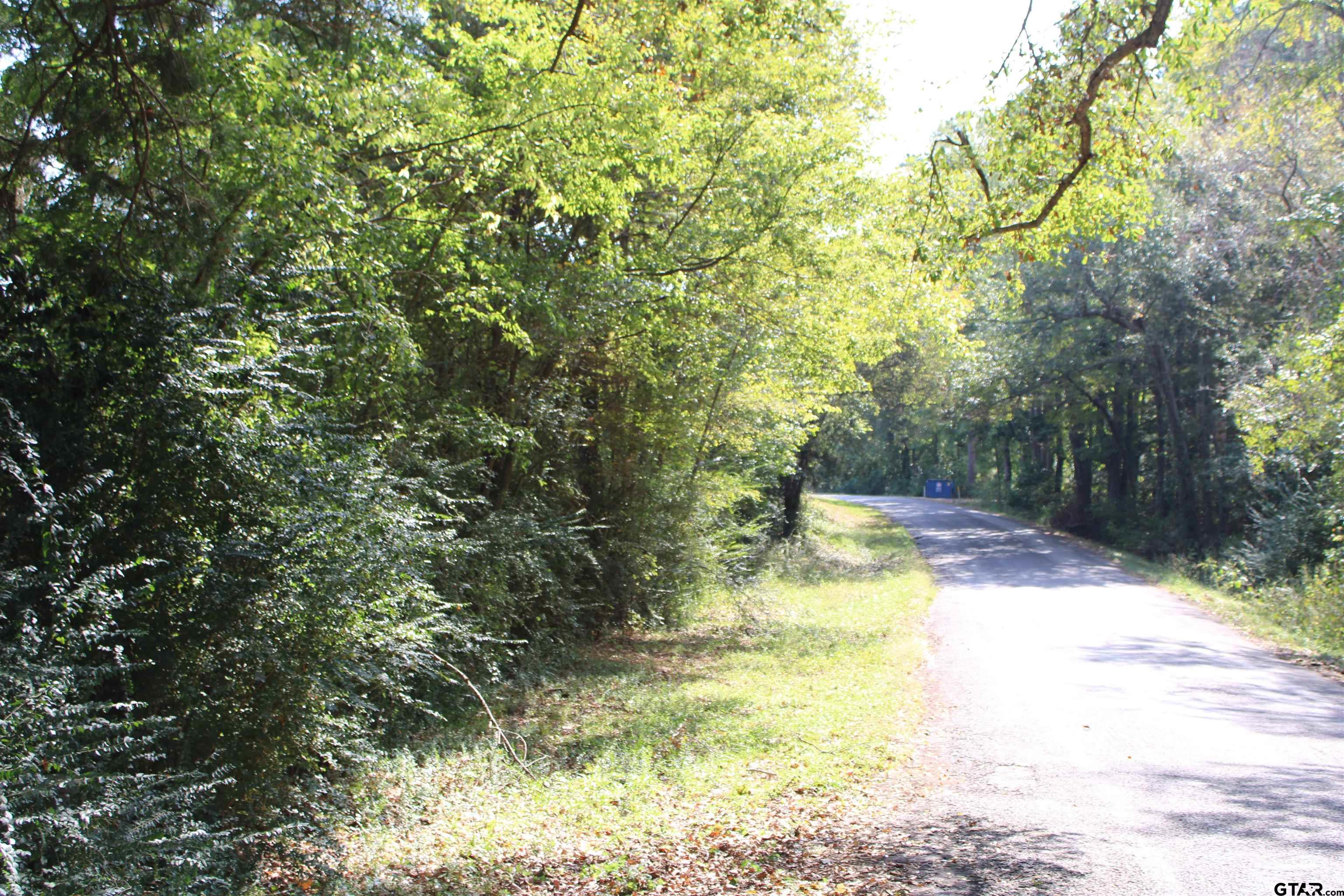 930 Cr 4418, Jacksonville, Texas image 3