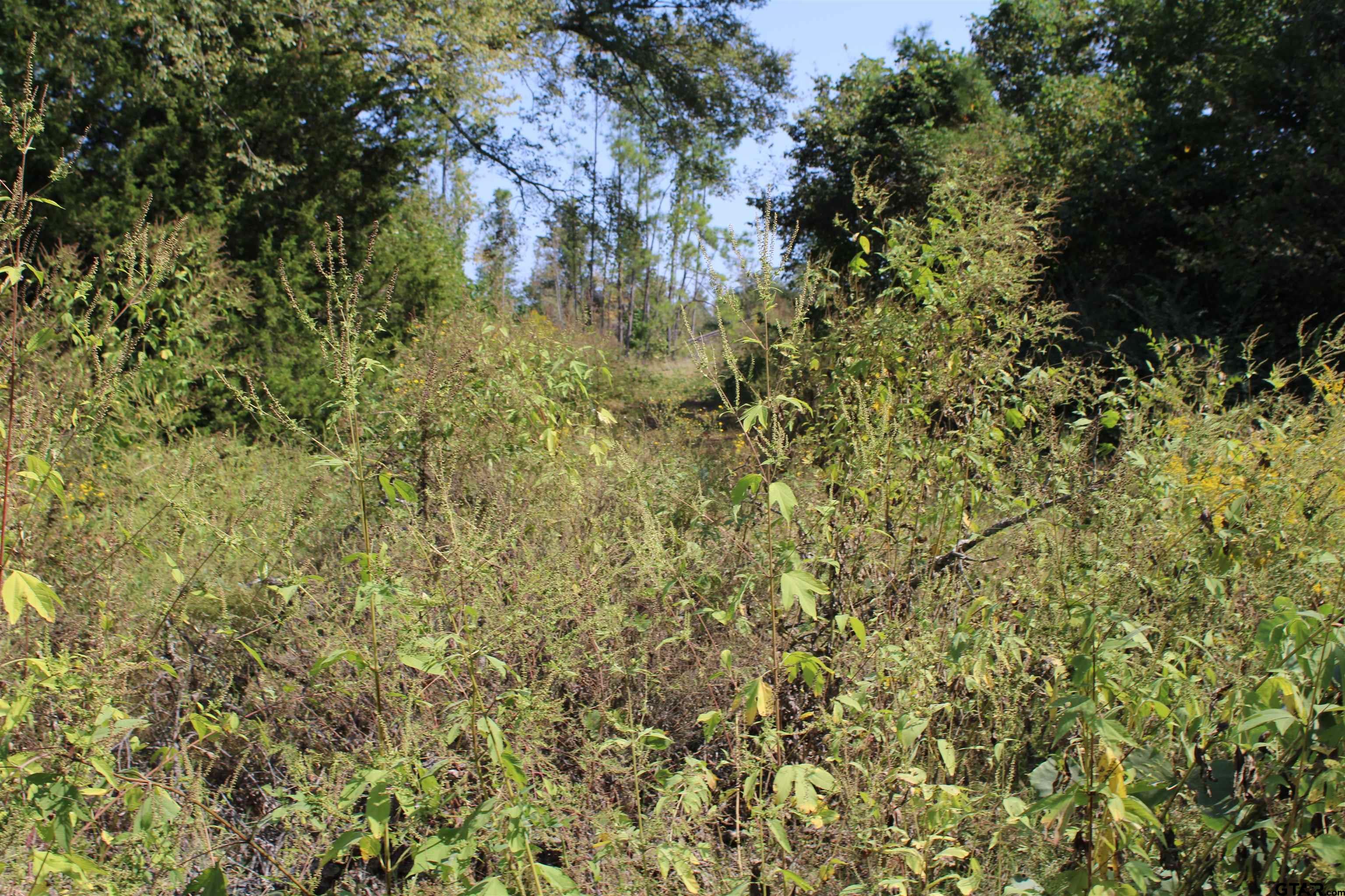 930 Cr 4418, Jacksonville, Texas image 10