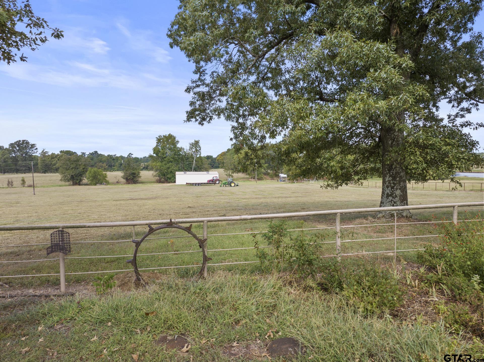 883 Cr 3309, Omaha, Texas image 41