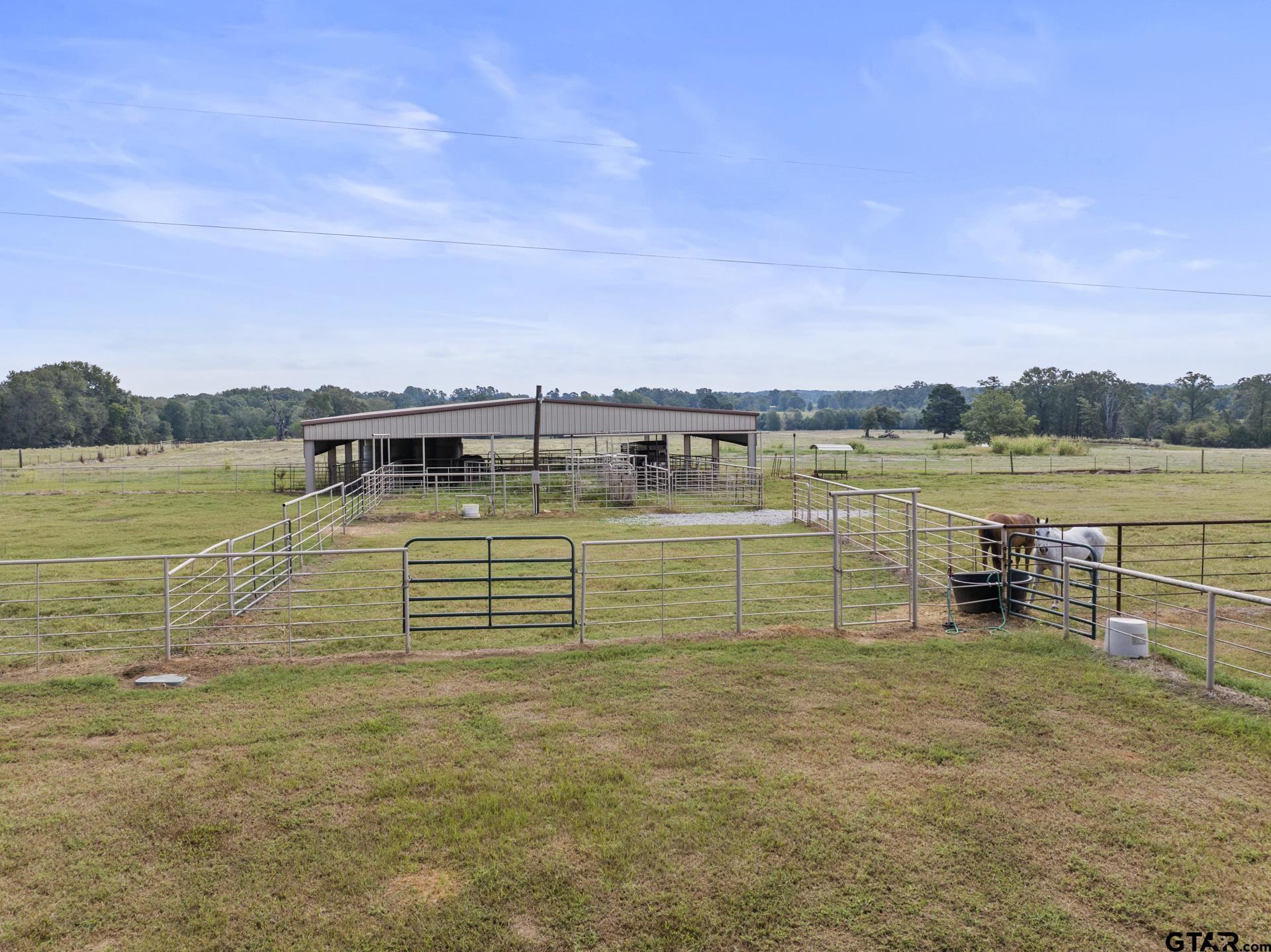 883 Cr 3309, Omaha, Texas image 42