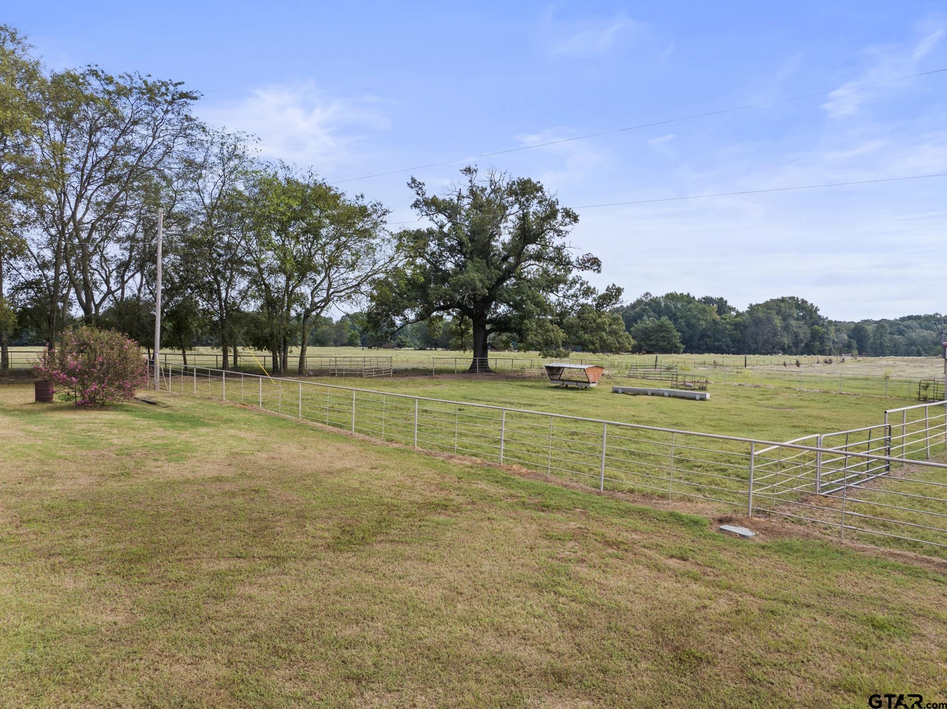 883 Cr 3309, Omaha, Texas image 44