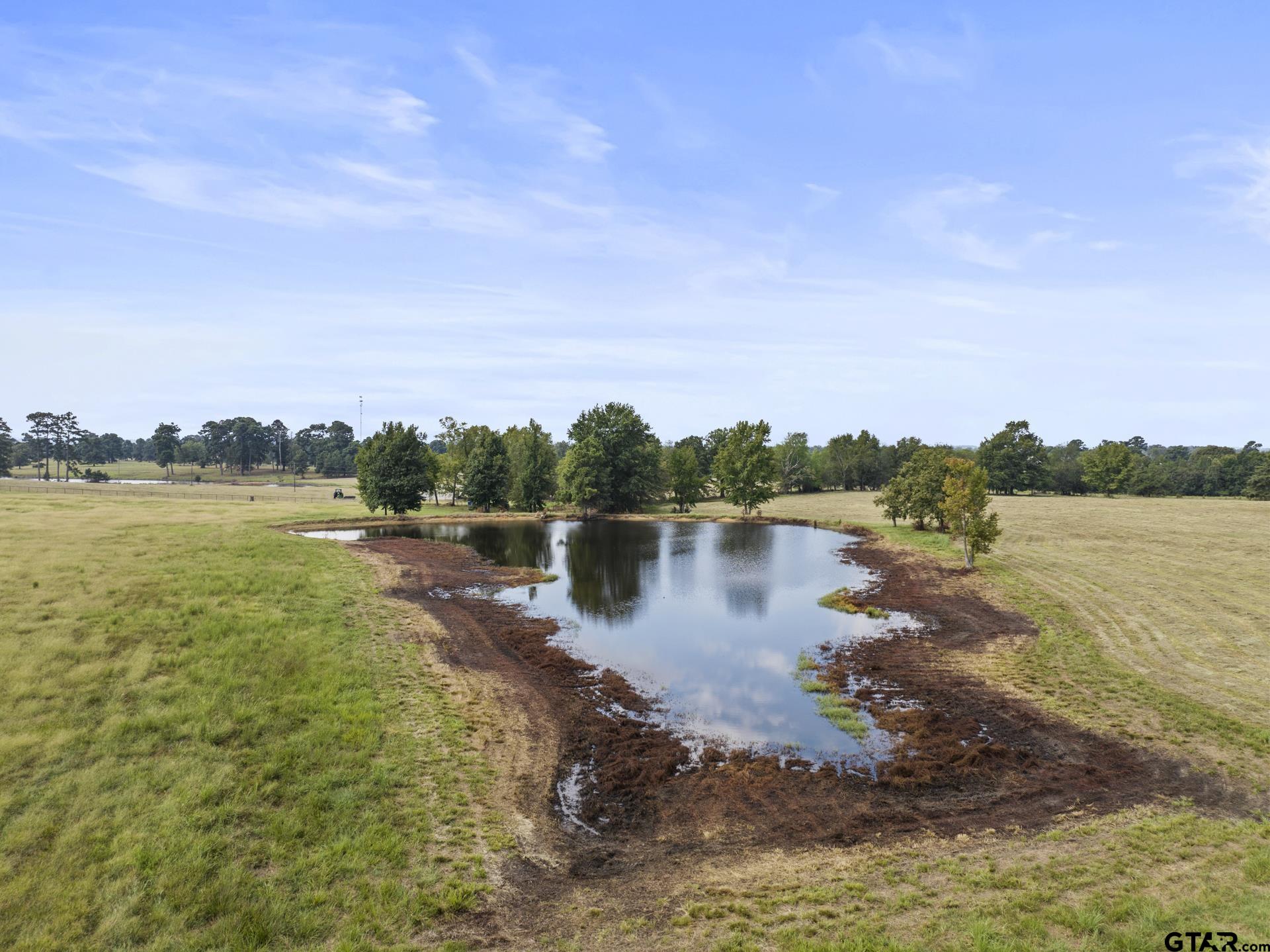 883 Cr 3309, Omaha, Texas image 46
