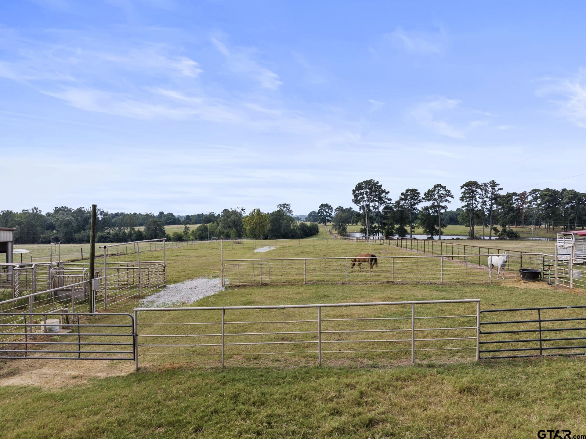 883 Cr 3309, Omaha, Texas image 47