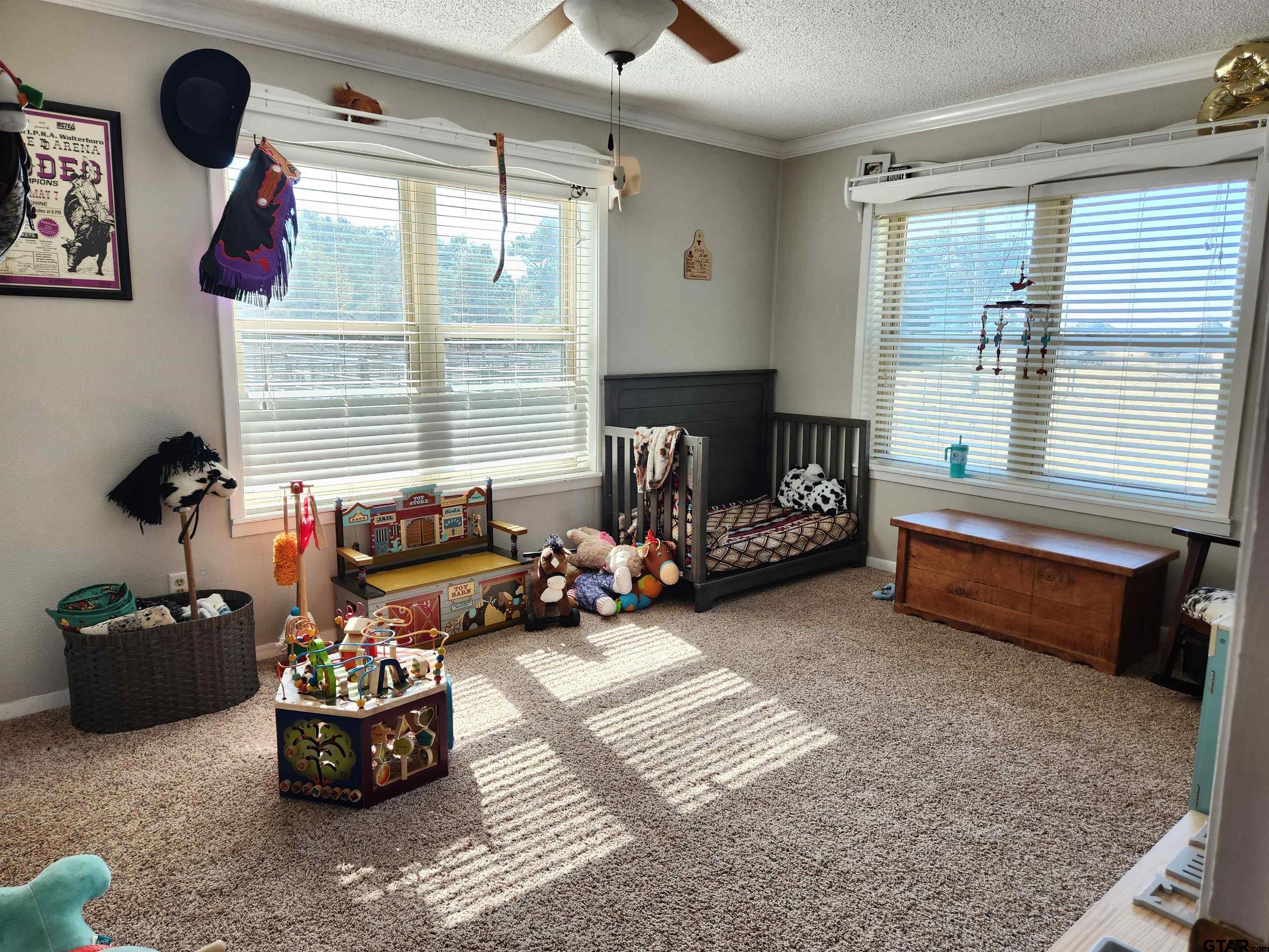 529 Cr 2304, Tennessee Colony, Texas image 14
