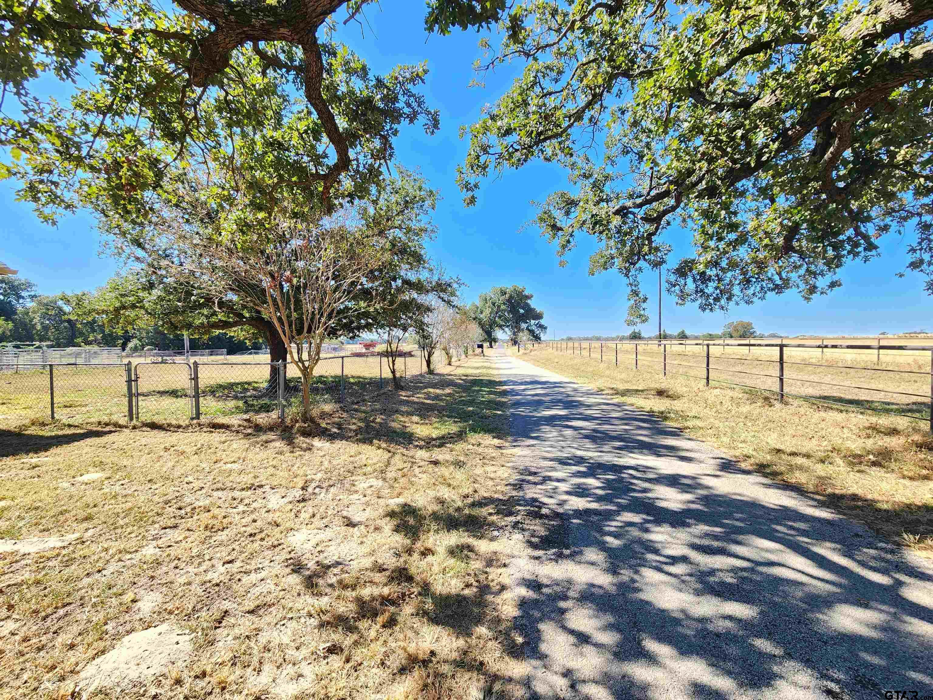 529 Cr 2304, Tennessee Colony, Texas image 15