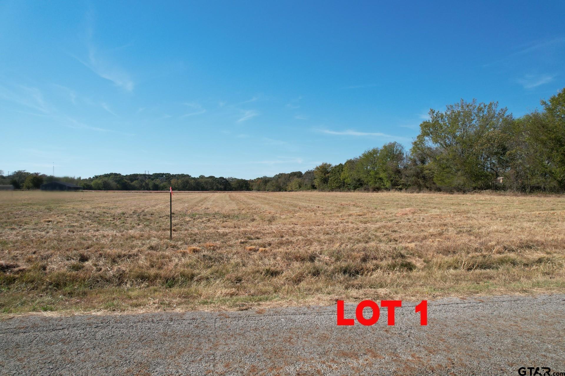 Lot 1 Rs County Road 3150, Emory, Texas image 4