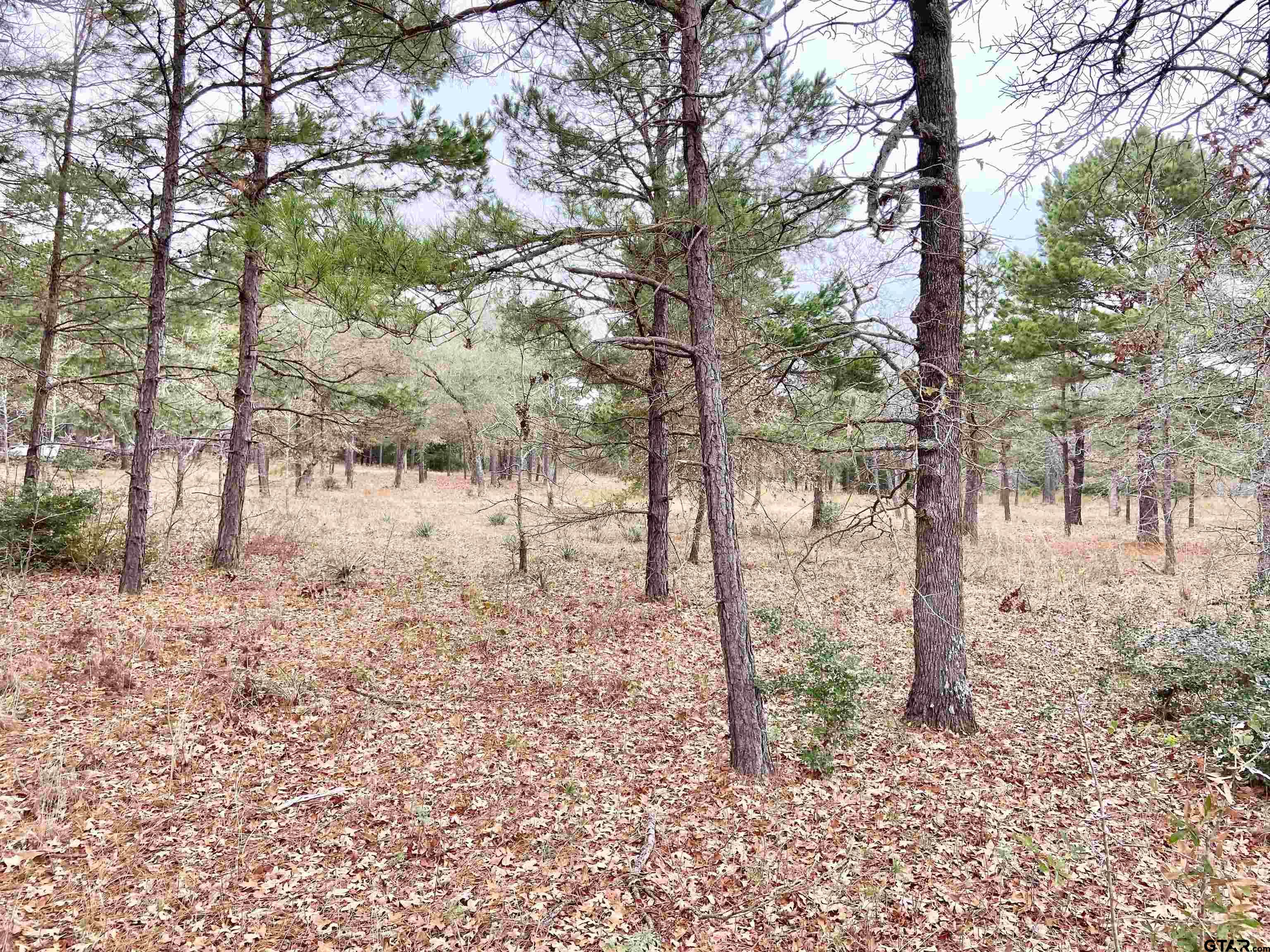 Lot 80