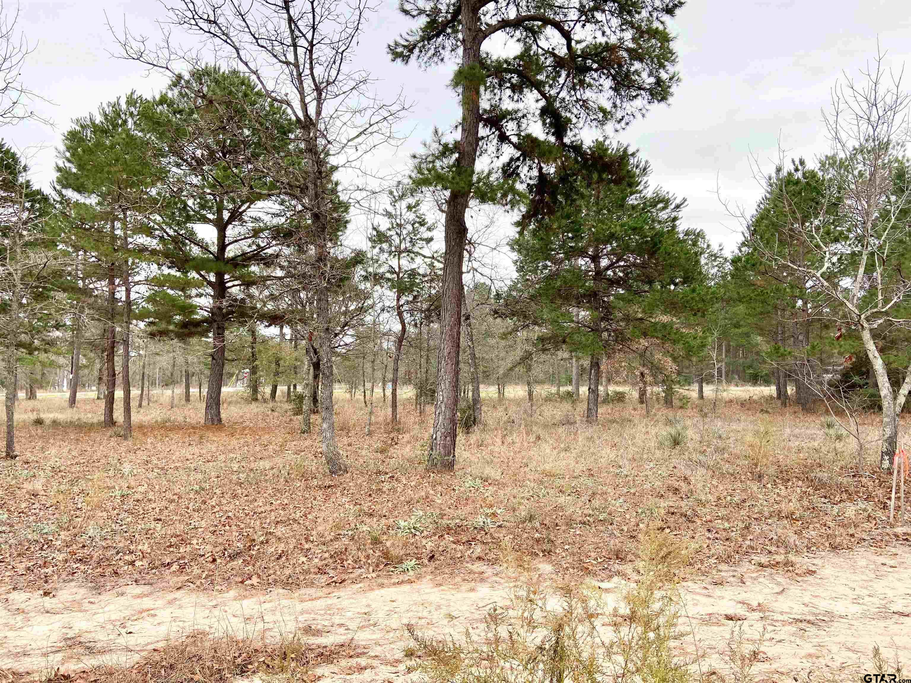 Lot 80