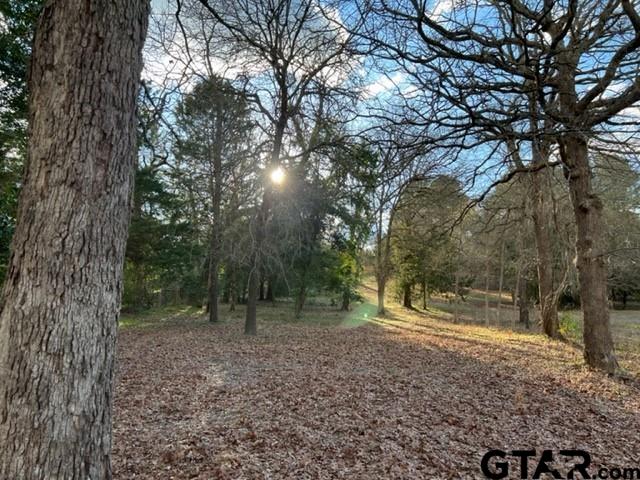 Lot 1 Cr 2307, Mineola, Texas image 11