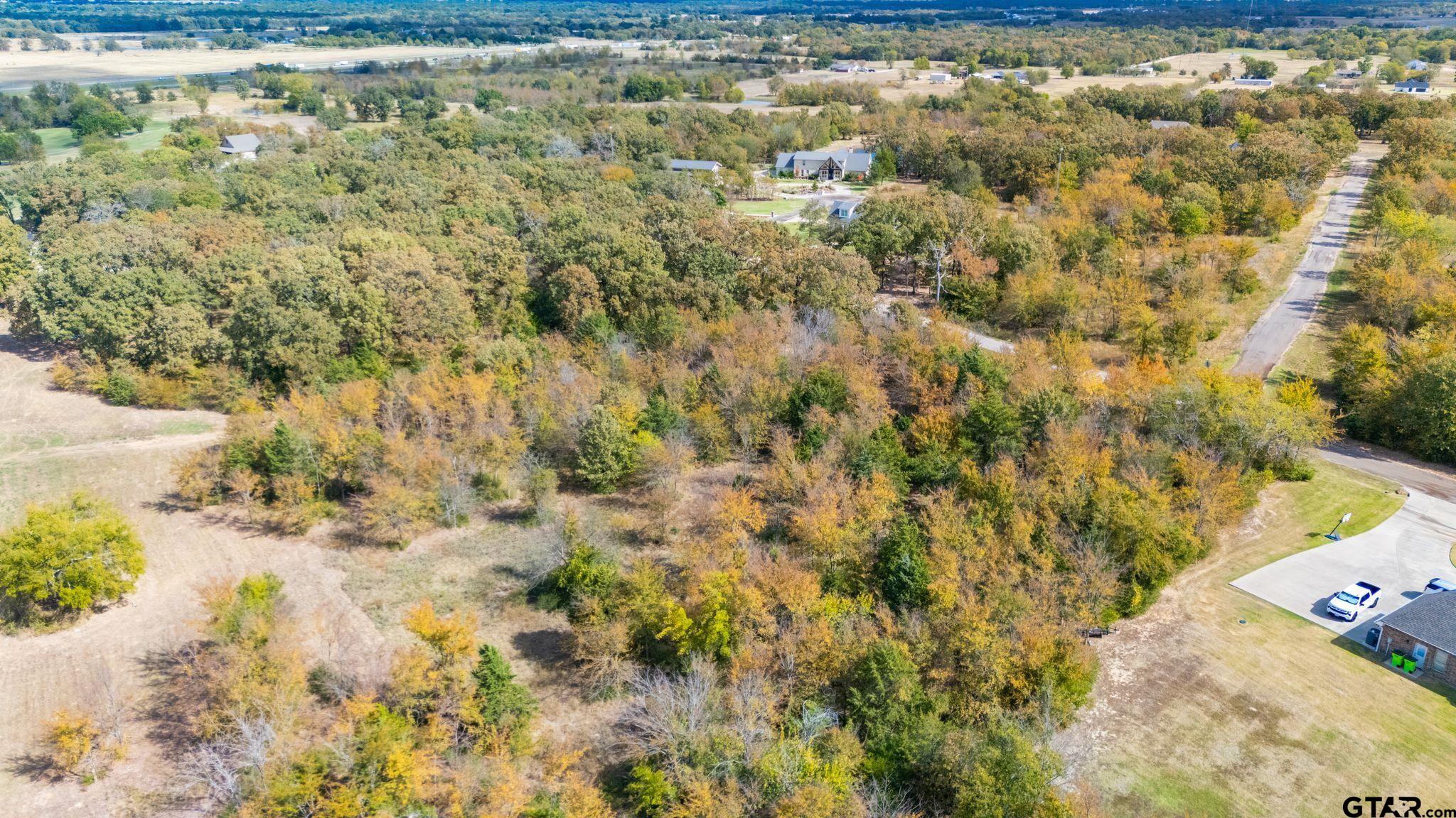 Lot 54 Nelson Drive, Sulphur Springs, Texas image 13