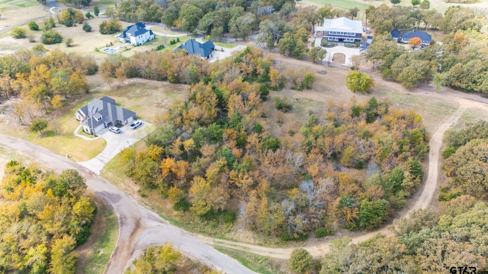 Lot 54 Nelson Drive, Sulphur Springs, Texas image 4