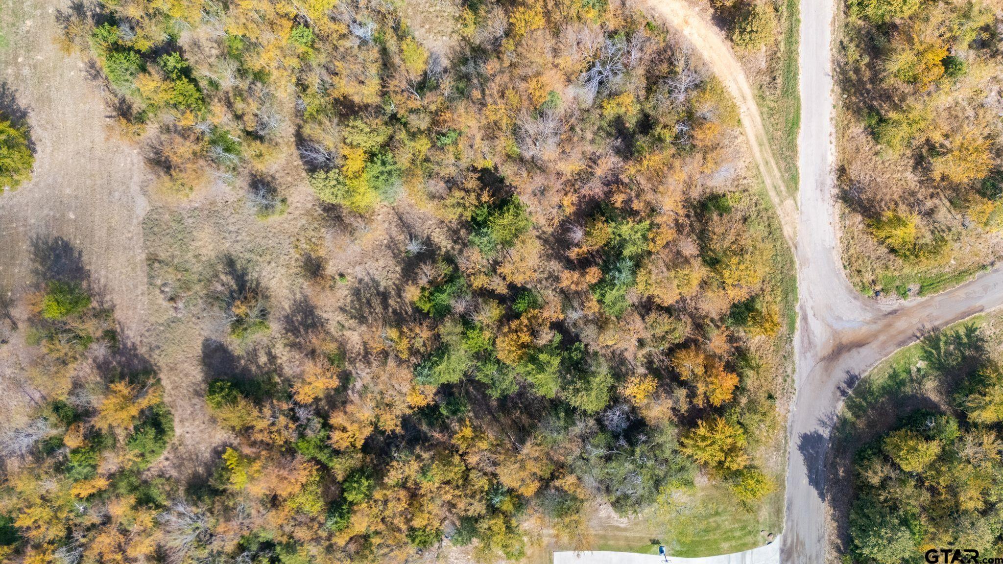 Lot 54 Nelson Drive, Sulphur Springs, Texas image 6