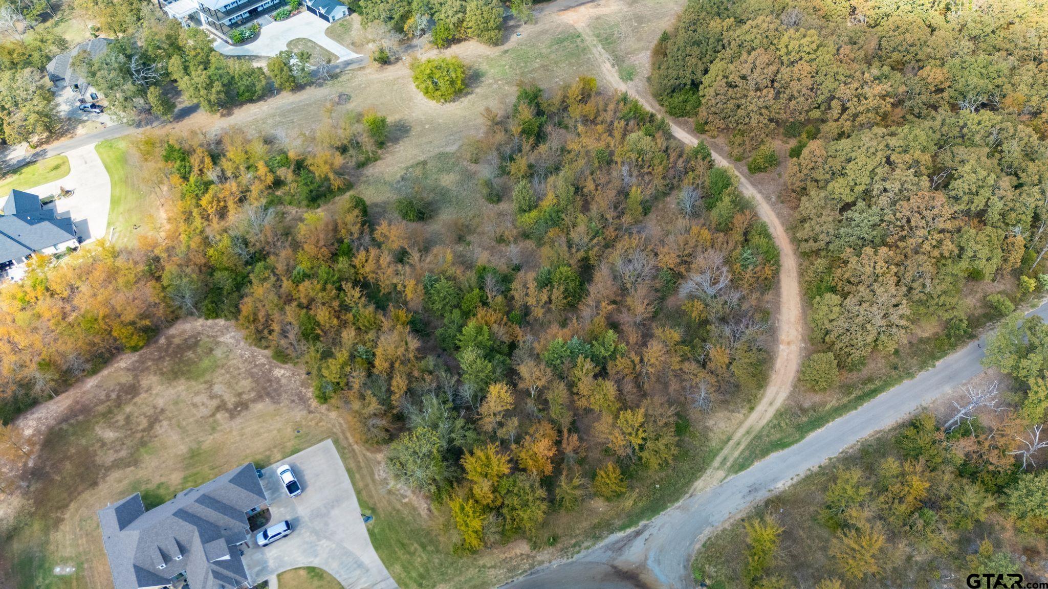 Lot 54 Nelson Drive, Sulphur Springs, Texas image 8