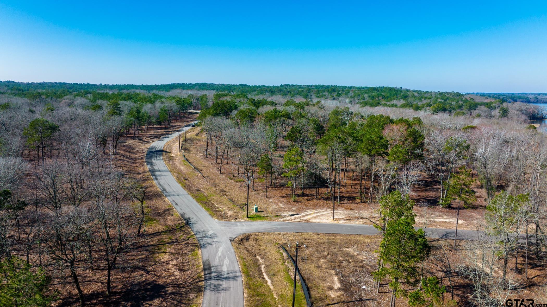 3195 Shadow Pine Drive, LaRue, Texas image 20