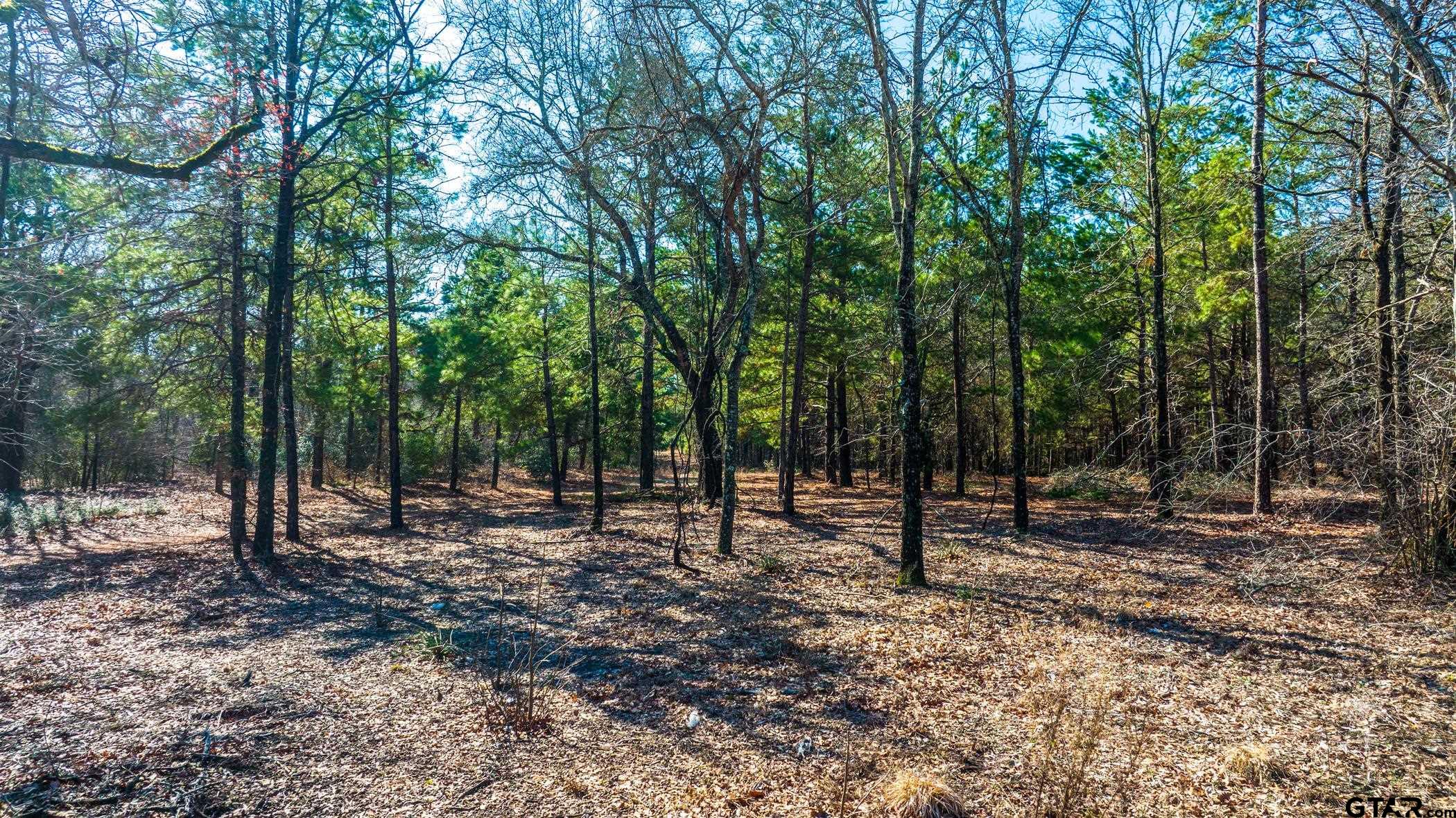 3195 Shadow Pine Drive, LaRue, Texas image 21