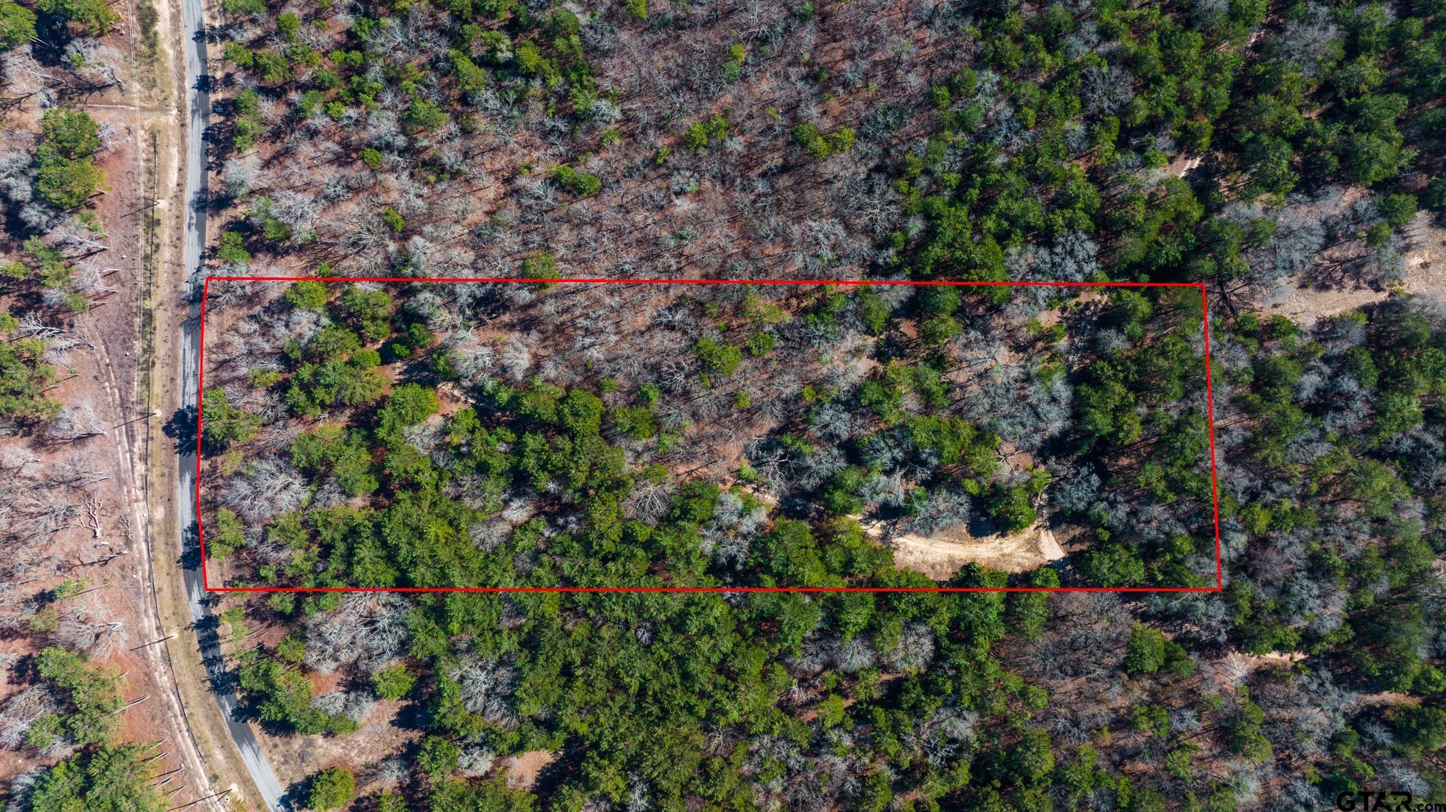3195 Shadow Pine Drive, LaRue, Texas image 25