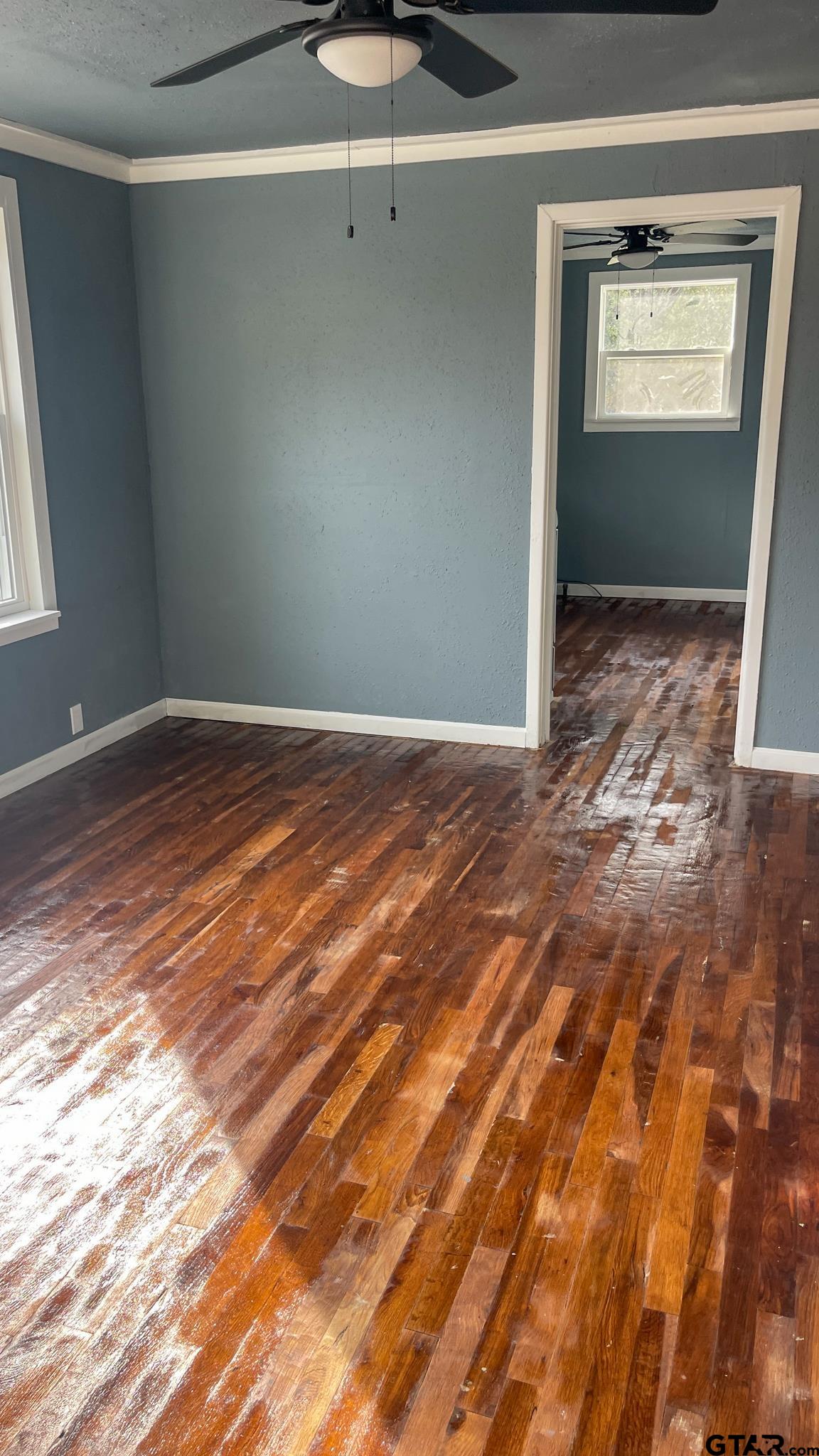 310 Washington Ave, Malakoff, Texas image 4