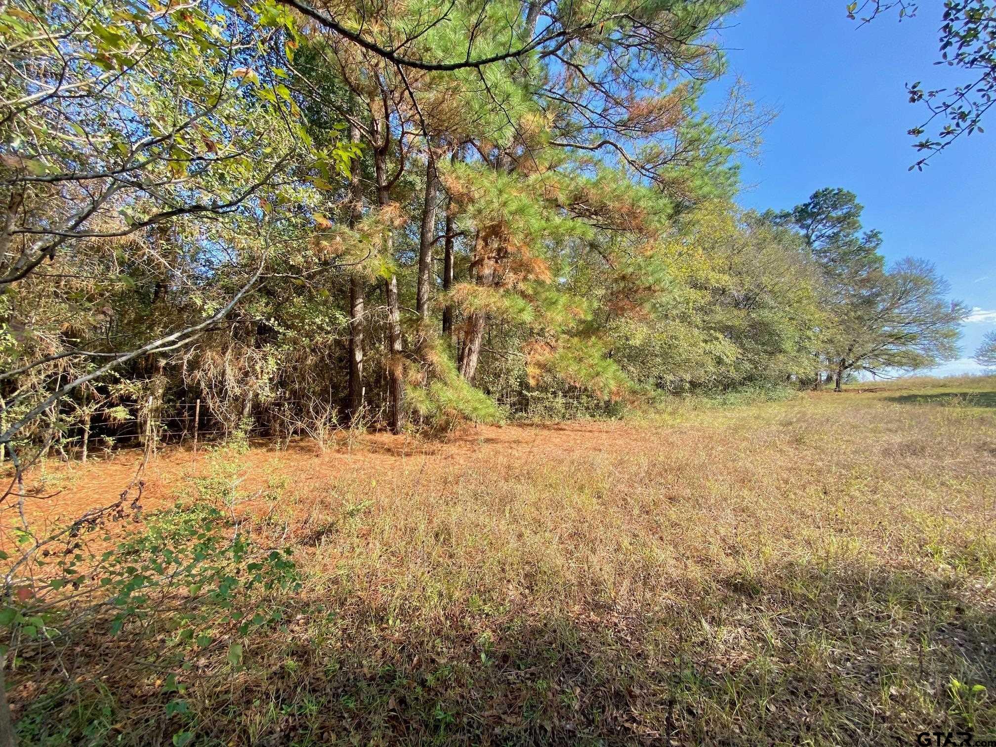 TBD Cr 4030, Crockett, Texas image 3
