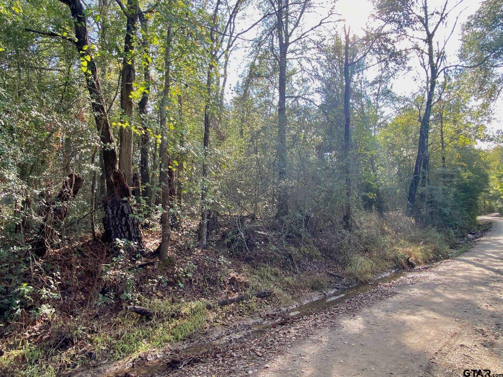 TBD Cr 4030, Crockett, Texas image 4